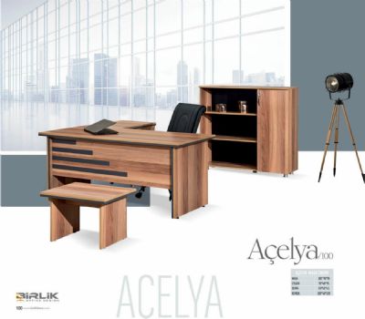 Açelya 100 - ÇALIŞMA MASALARI
